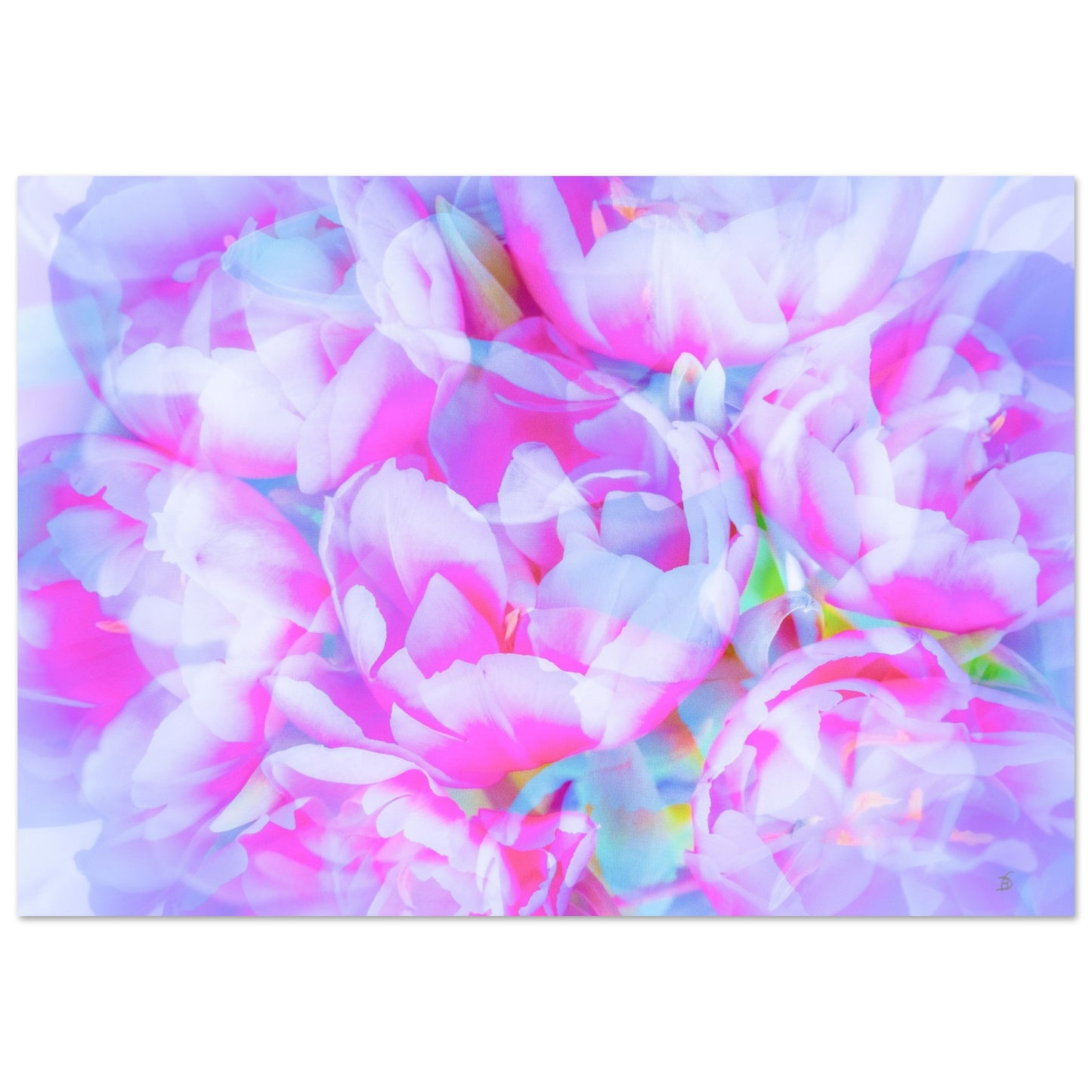 1f655a64-d902-48e2-936c-26f7dd4e4d63
