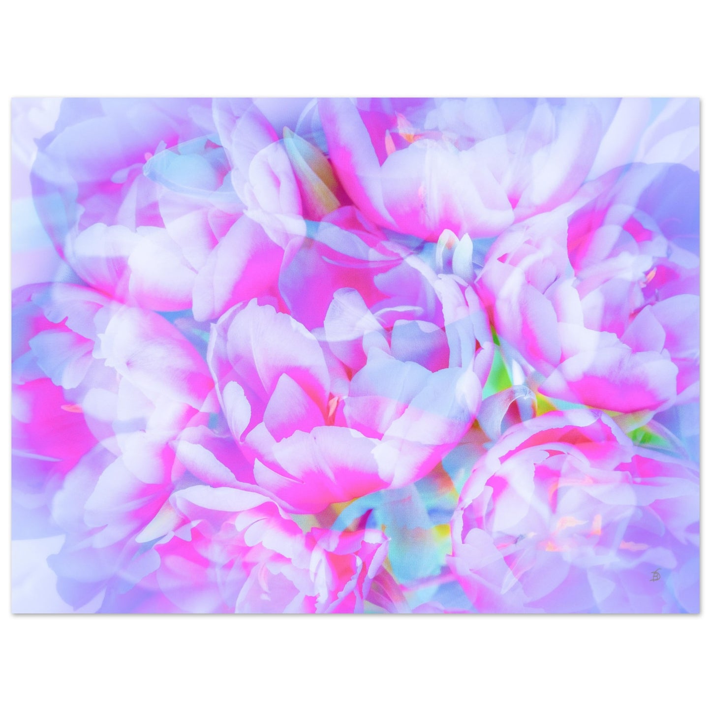 62e56532-7ea4-4a30-9cbf-e9e9cec5339f