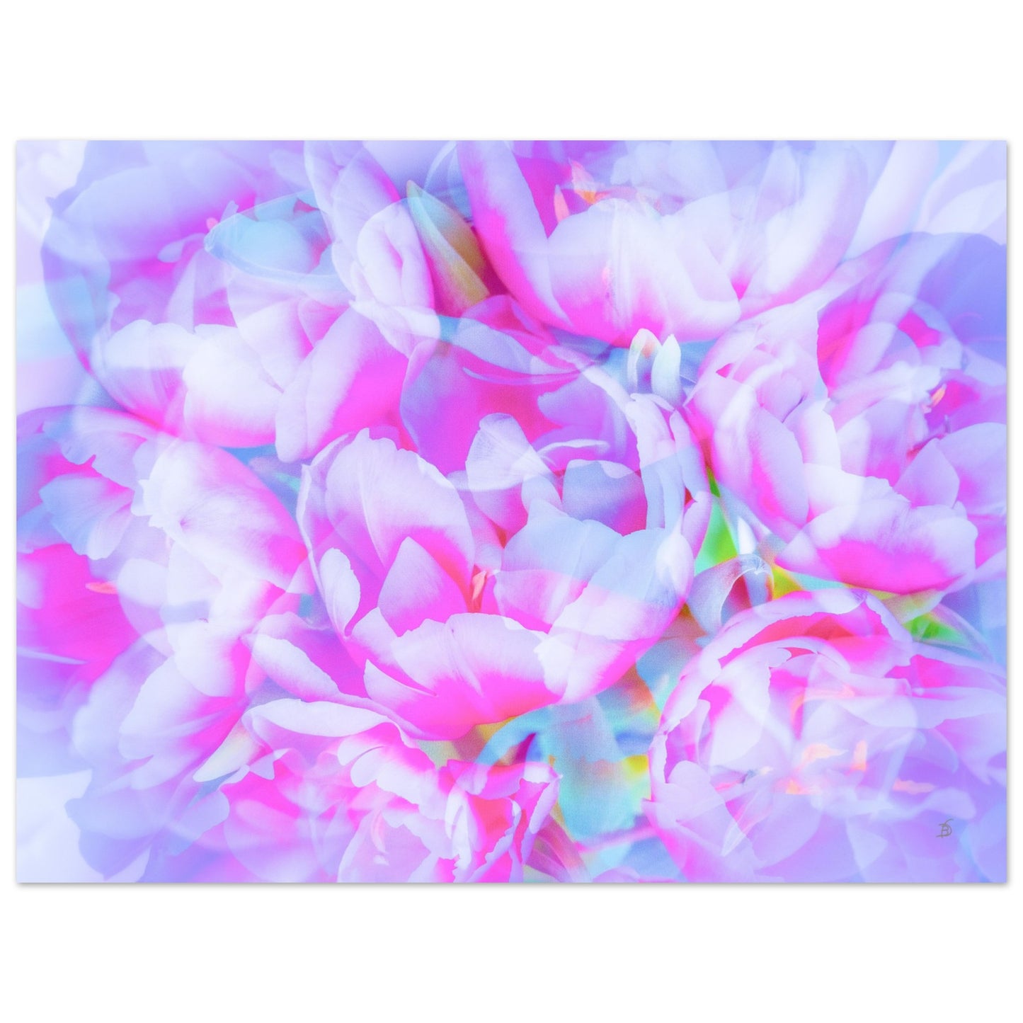 b95536c8-b6ce-4e6e-a68e-455a82710a50